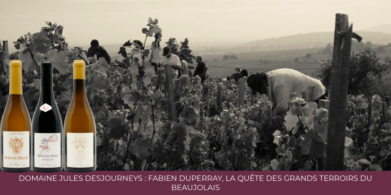 Domaine Jules Desjourneys : Fabien Duperray, la qu&ecirc;te des grands terroirs du Beaujolais